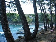 Cikat - baia